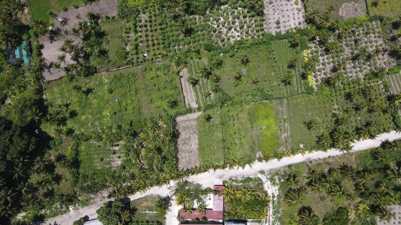 Thila Farm View Otel Thoddoo Dış mekan fotoğraf